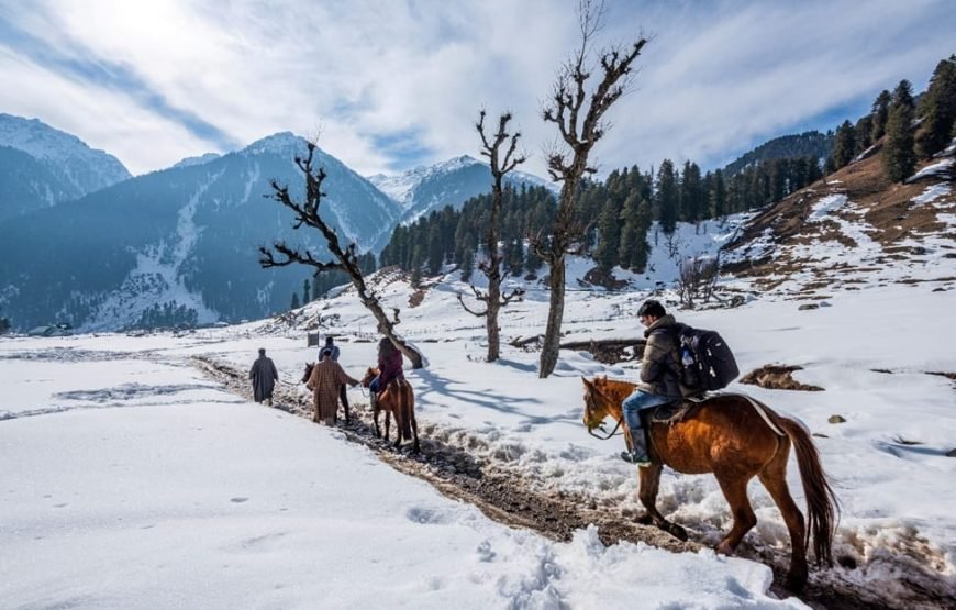 Best Kashmir Family Tour Package