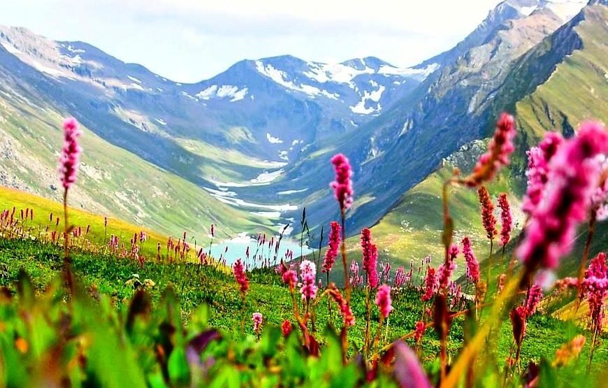 Best Kashmir Family Tour Package