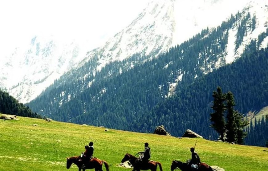 Best Kashmir Family Tour Package