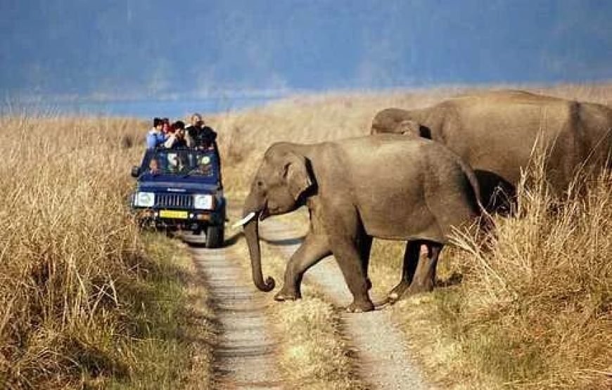 JIM CORBETT TOUR PACKAGES