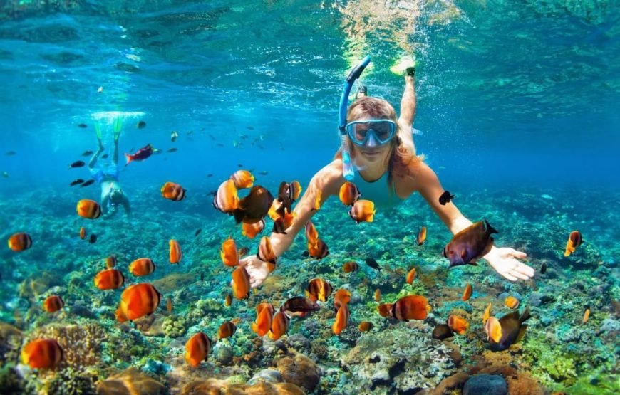 LAKSHADWEEP TOUR PACKAGE