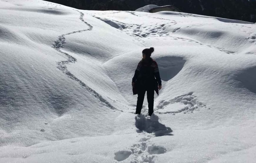 Chopta Tungnath Trek