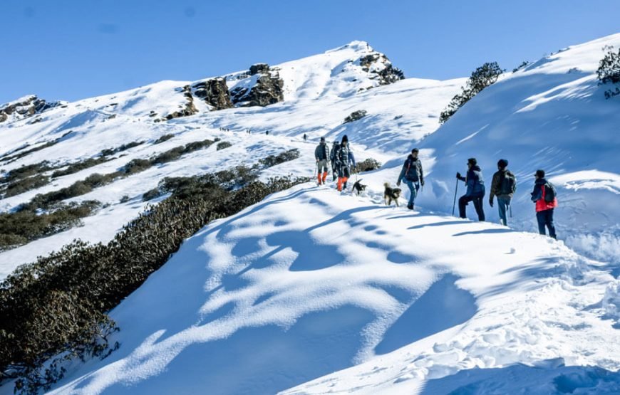 Chopta Tungnath Trek