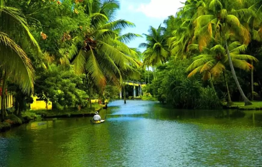 Munnar Thekkady Alleppey Tour Package