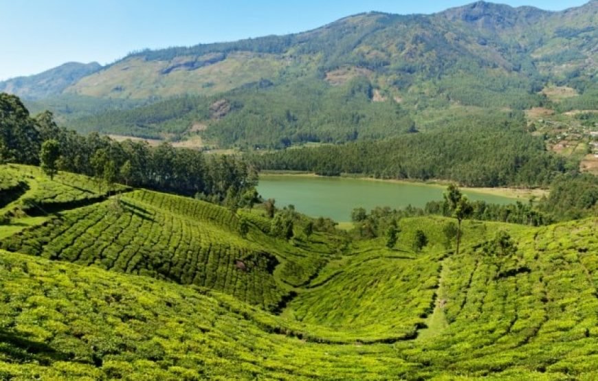 Munnar Thekkady Alleppey Tour Package