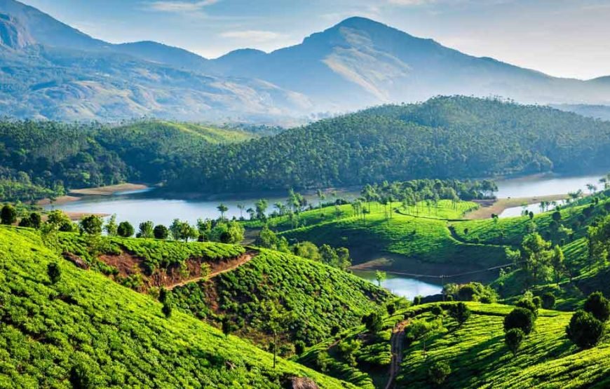 Munnar Thekkady Alleppey Tour Package