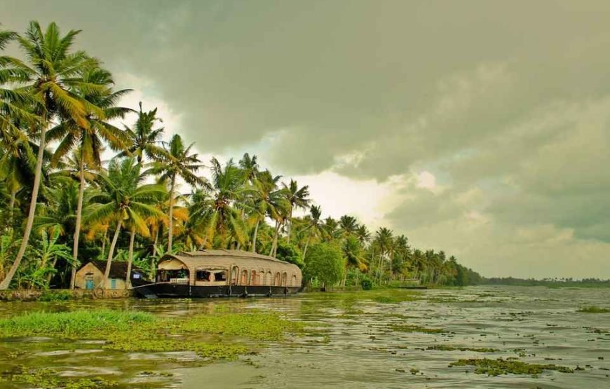 Munnar Thekkady Alleppey Tour Package