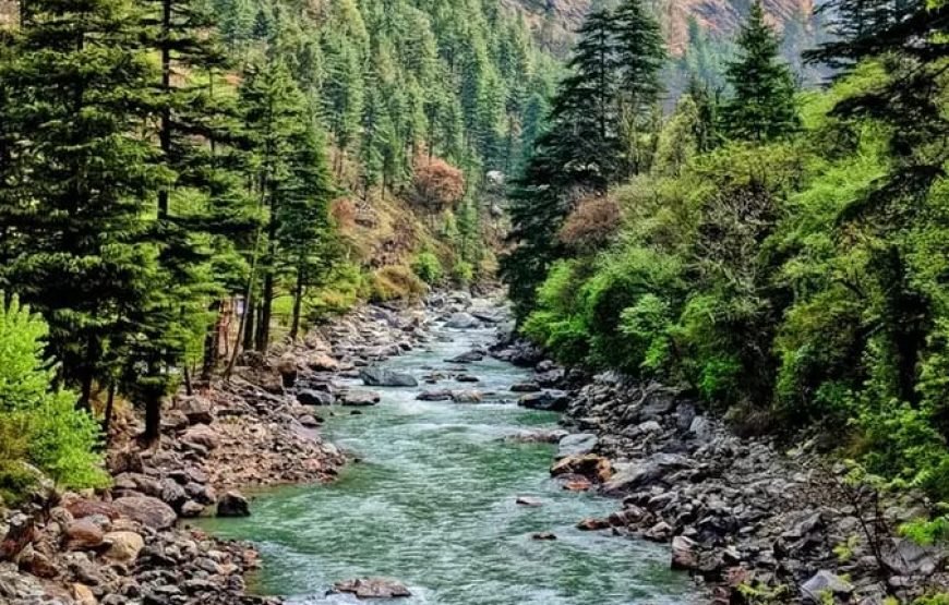 Tosh with Kheerganga Trek